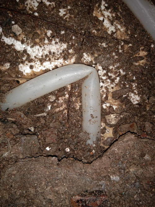 清镇堵点精准查找